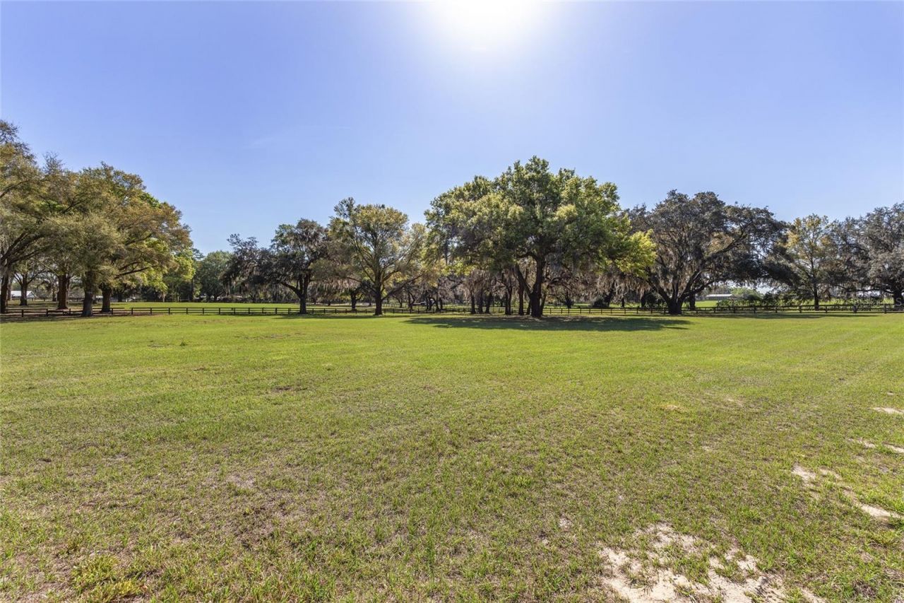 205 E Hwy 318, Citra, FL 32113 Photo