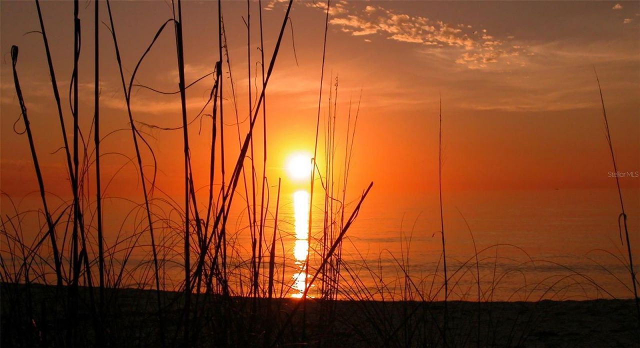 4380 Exeter Drive, Unit 101, Longboat Key, FL 34228 Photo