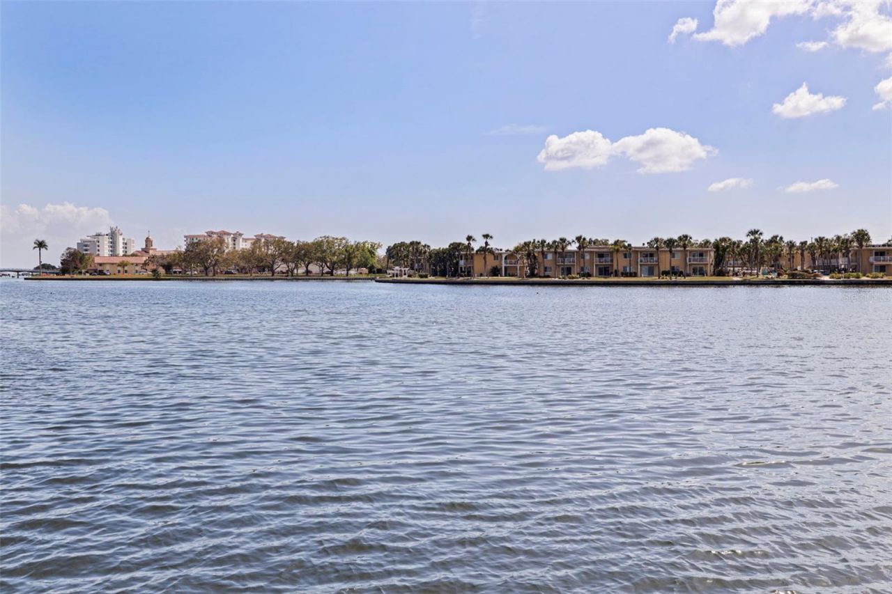 3901 14th Street Ne, Saint Petersburg, FL 33703 Photo