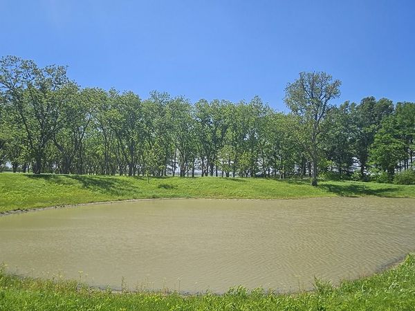 0 Gerard Road, Mcclure, IL 62957
