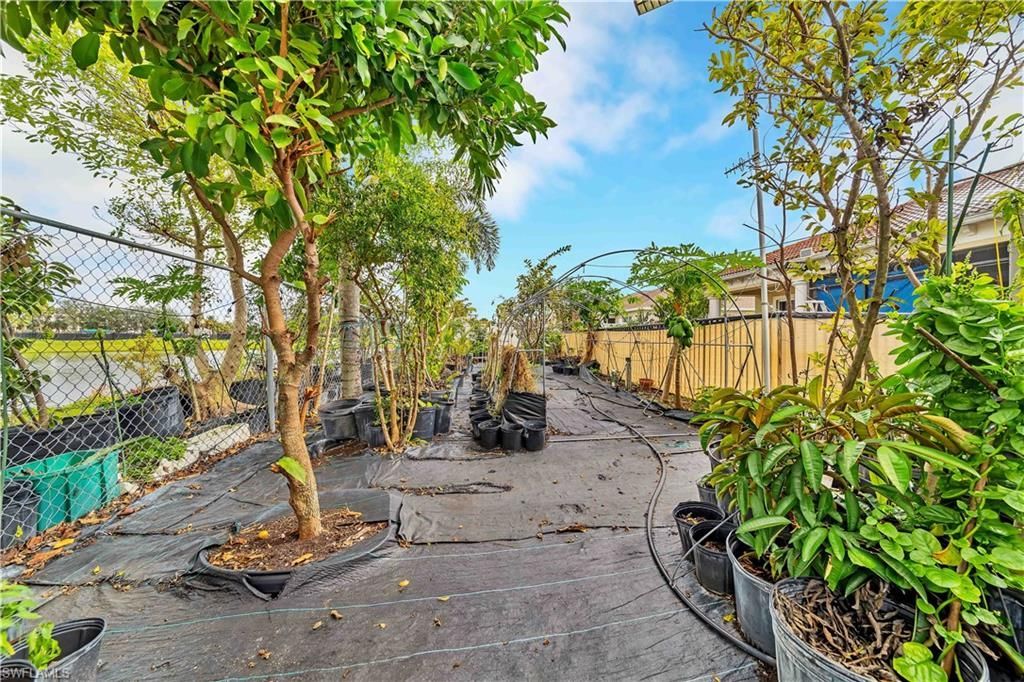 20831 Copperhead Dr, Lehigh Acres, FL 33936 Photo