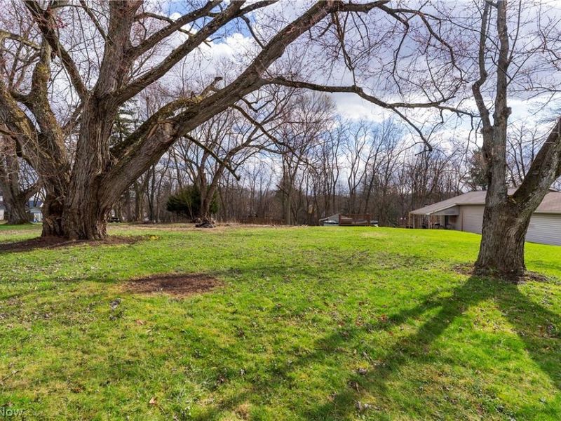 529 Warren Avenue, Niles, OH 44446 Photo 26