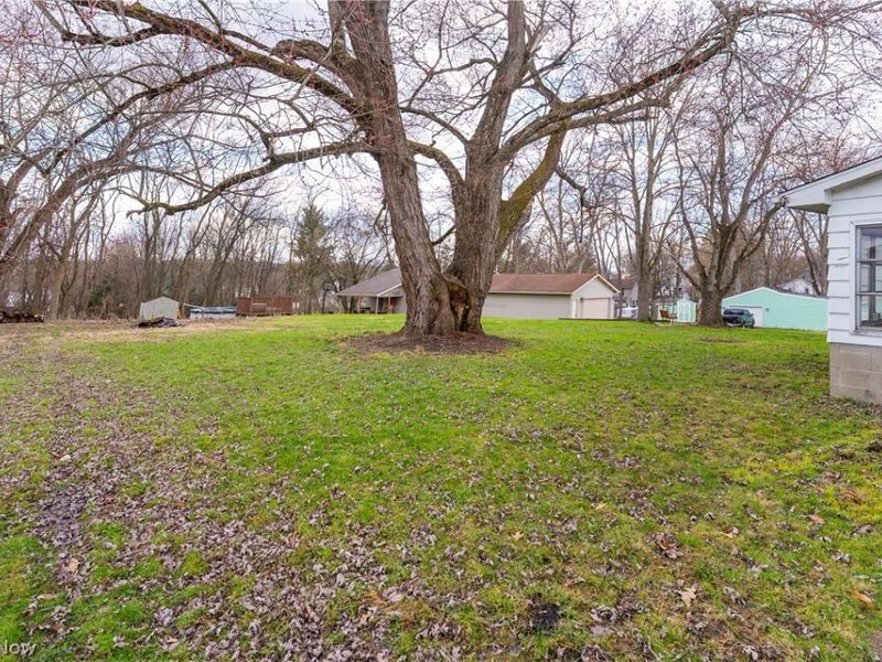 529 Warren Avenue, Niles, OH 44446 Photo 27