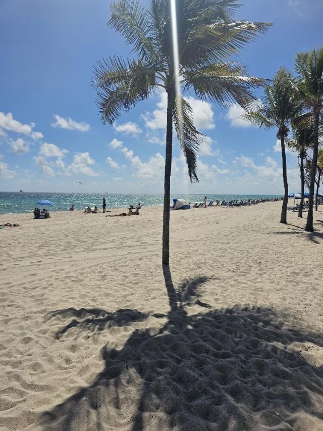 345 N Fort Lauderdale Beach Boulevard, Unit 402, Fort Lauderdale, FL 33304 Photo