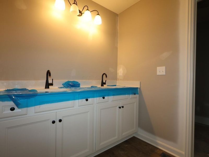 69 Banyan Drive, Lewis Center, OH 43035 Photo 13