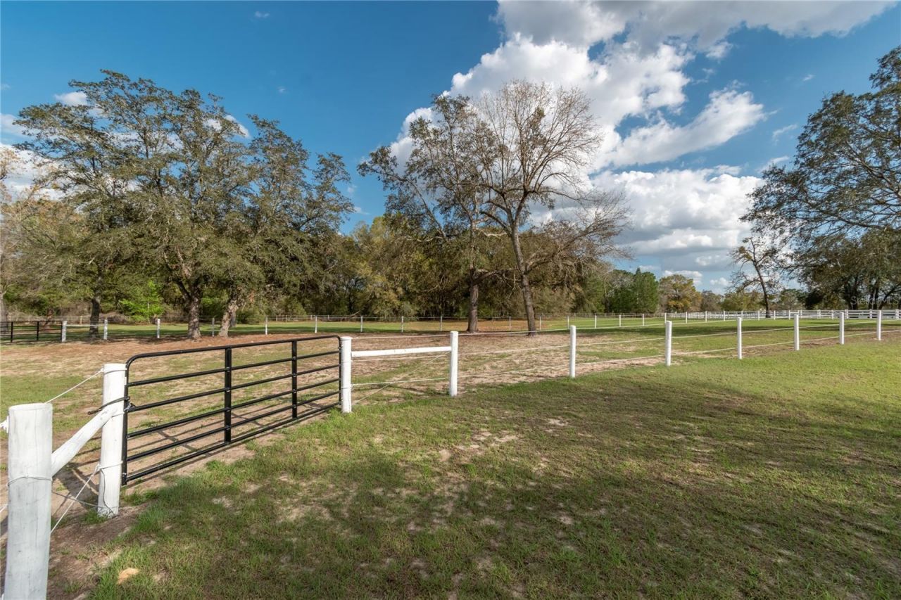 10516 SW 27th Avenue, Ocala, FL 34476 Photo