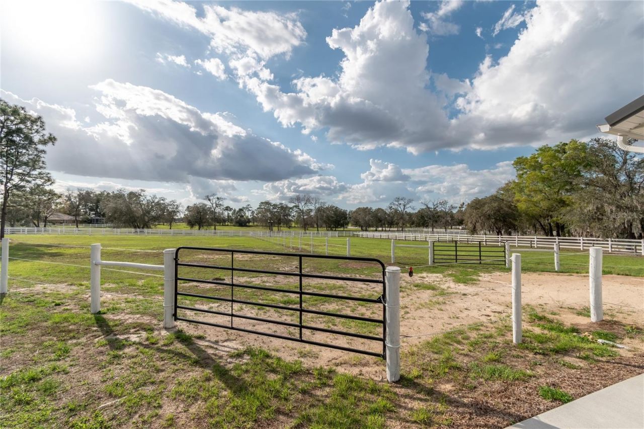 10516 SW 27th Avenue, Ocala, FL 34476 Photo