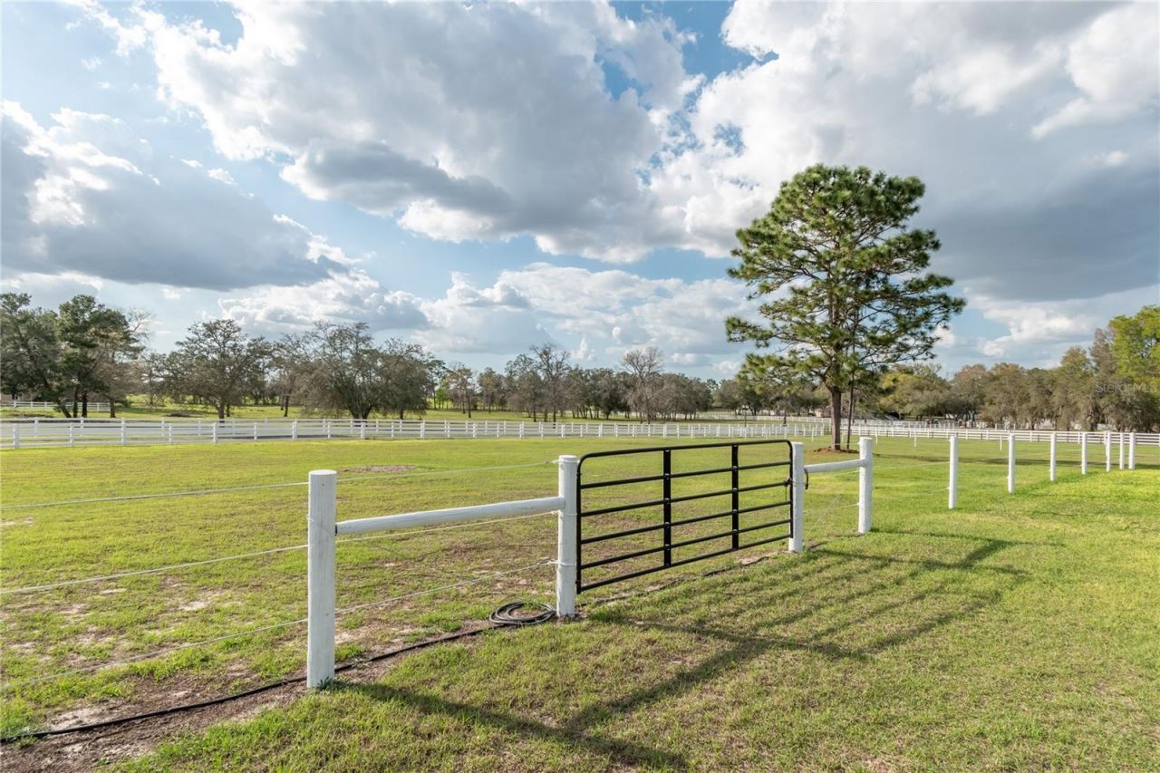 10516 SW 27th Avenue, Ocala, FL 34476 Photo