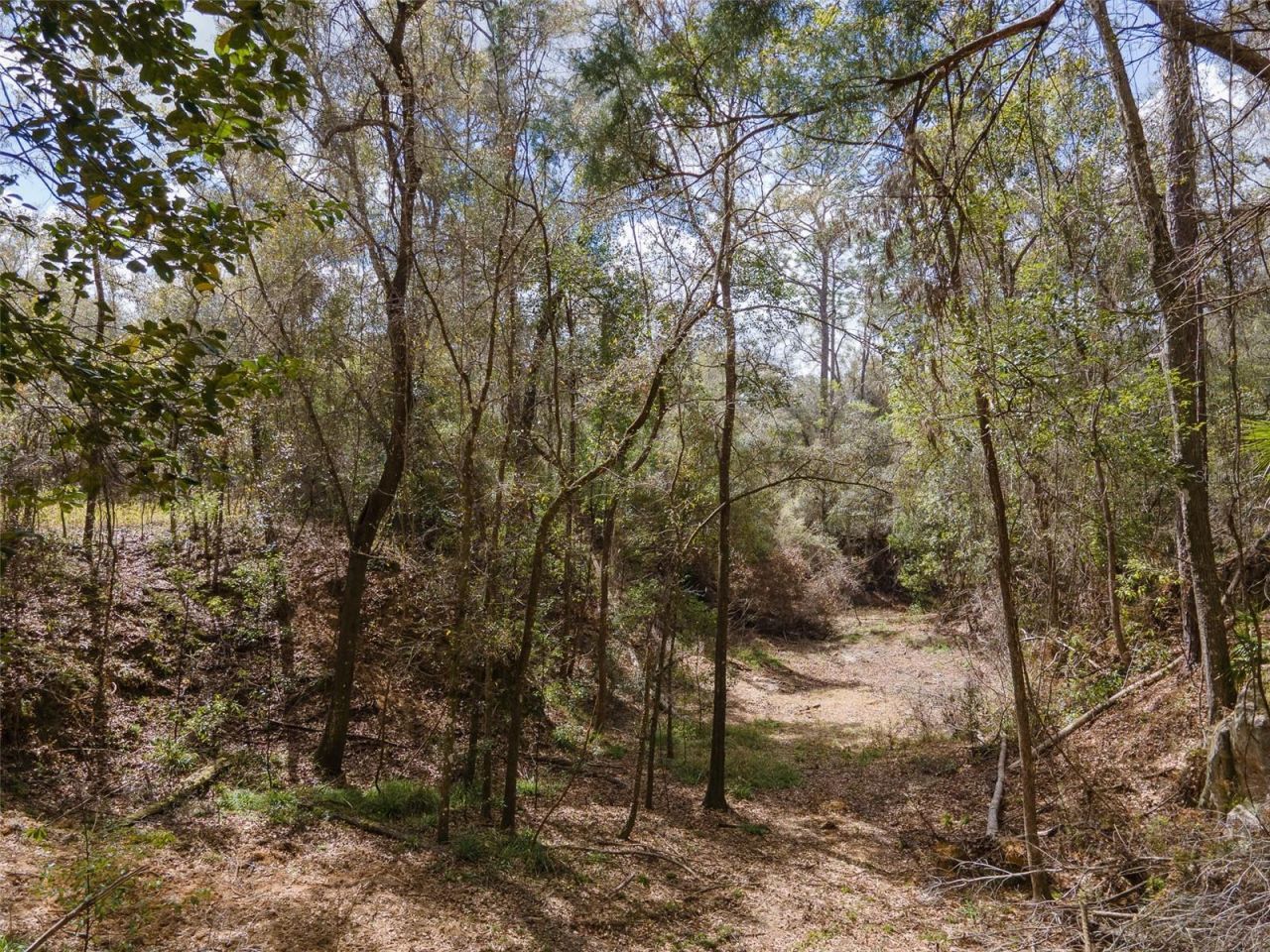 12890 NE 107th Avenue, Archer, FL 32618 Photo