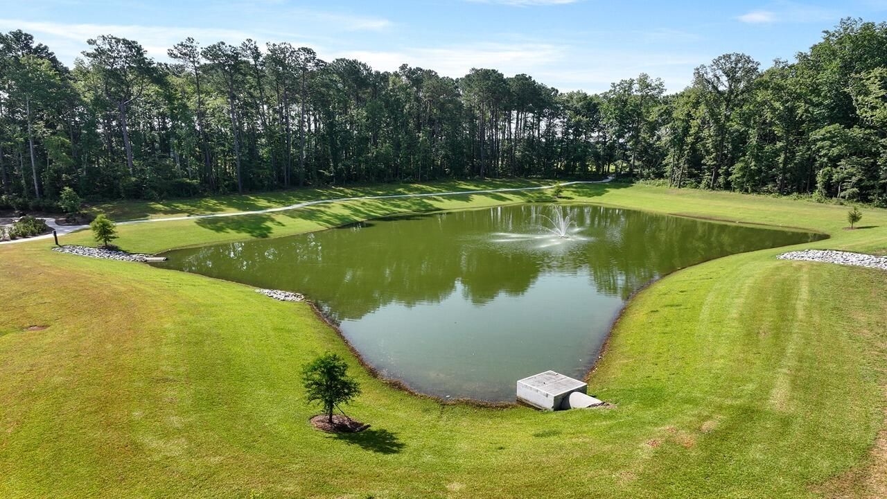 211 Blue Haw Drive Photo 41