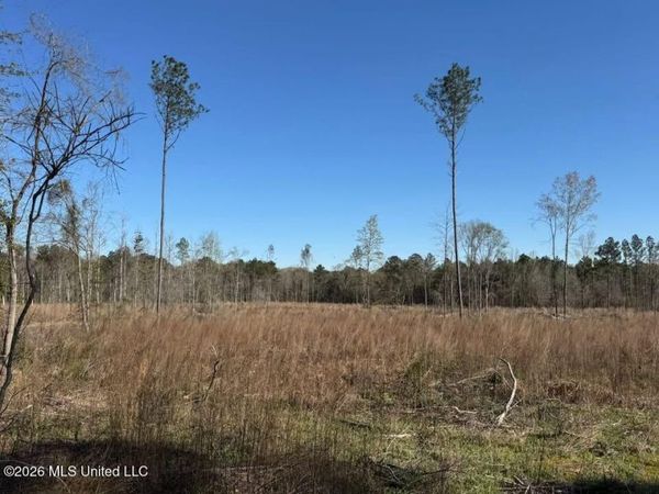 00 Bilbrew Road, Pisgah, MS 39047