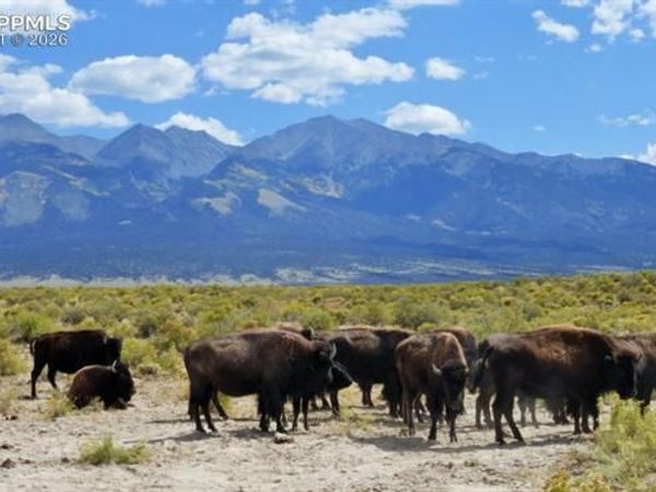 6150 Tim Road, Garcia, CO 81152