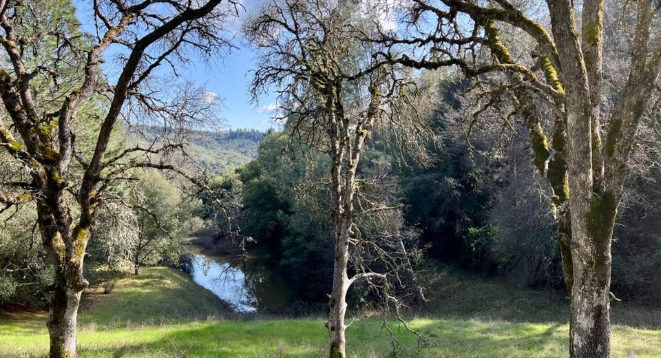 26-acres Cedar Pines Dr, Fiddletown, CA 95629 Photo