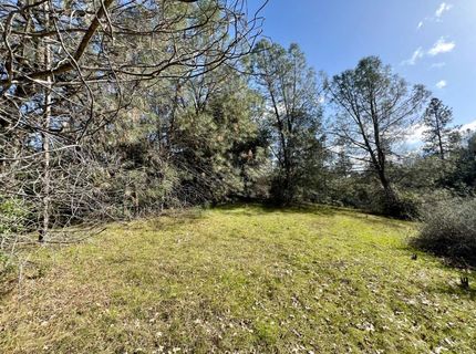 26-acres Cedar Pines Dr, Fiddletown, CA 95629 Photo