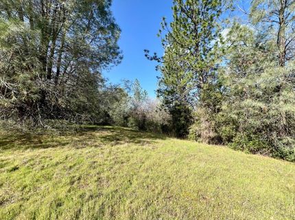 26-acres Cedar Pines Dr, Fiddletown, CA 95629 Photo