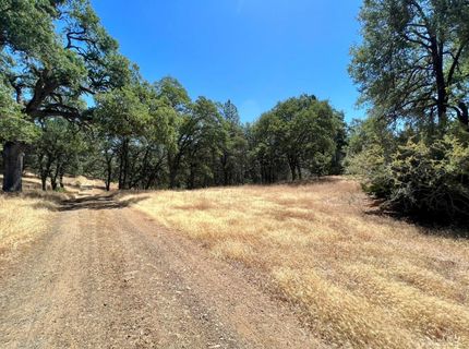 26-acres Cedar Pines Dr, Fiddletown, CA 95629 Photo