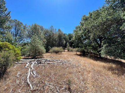 26-acres Cedar Pines Dr, Fiddletown, CA 95629 Photo