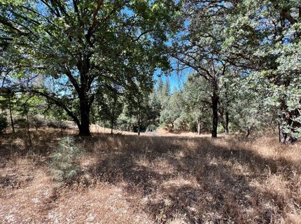 26-acres Cedar Pines Dr, Fiddletown, CA 95629 Photo