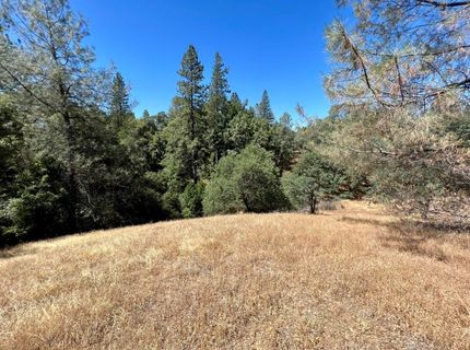26-acres Cedar Pines Dr, Fiddletown, CA 95629 Photo