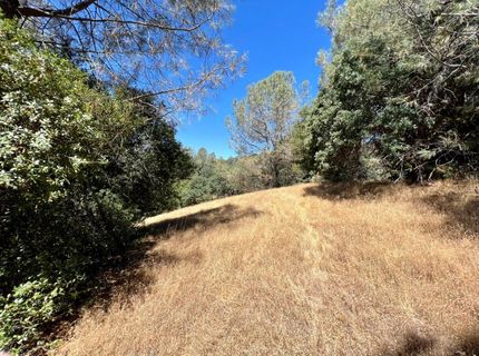 26-acres Cedar Pines Dr, Fiddletown, CA 95629 Photo