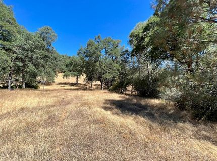 26-acres Cedar Pines Dr, Fiddletown, CA 95629 Photo