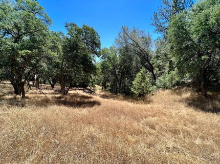 26-acres Cedar Pines Dr, Fiddletown, CA 95629 Photo