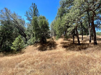 26-acres Cedar Pines Dr, Fiddletown, CA 95629 Photo