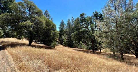 26-acres Cedar Pines Dr, Fiddletown, CA 95629 Photo