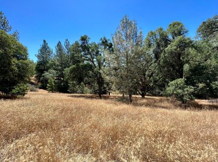 26-acres Cedar Pines Dr, Fiddletown, CA 95629 Photo