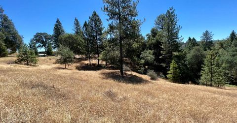 26-acres Cedar Pines Dr, Fiddletown, CA 95629 Photo