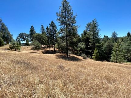 26-acres Cedar Pines Dr, Fiddletown, CA 95629 Photo
