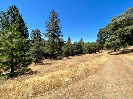 26-acres Cedar Pines Dr, Fiddletown, CA 95629 Photo