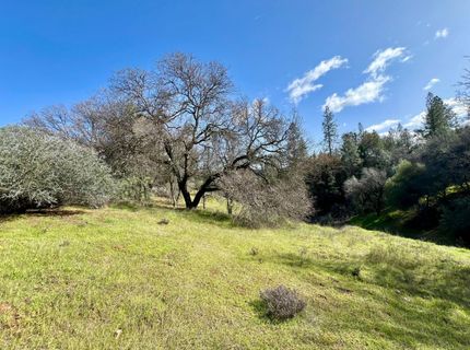 26-acres Cedar Pines Dr, Fiddletown, CA 95629 Photo