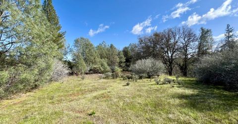 26-acres Cedar Pines Dr, Fiddletown, CA 95629 Photo