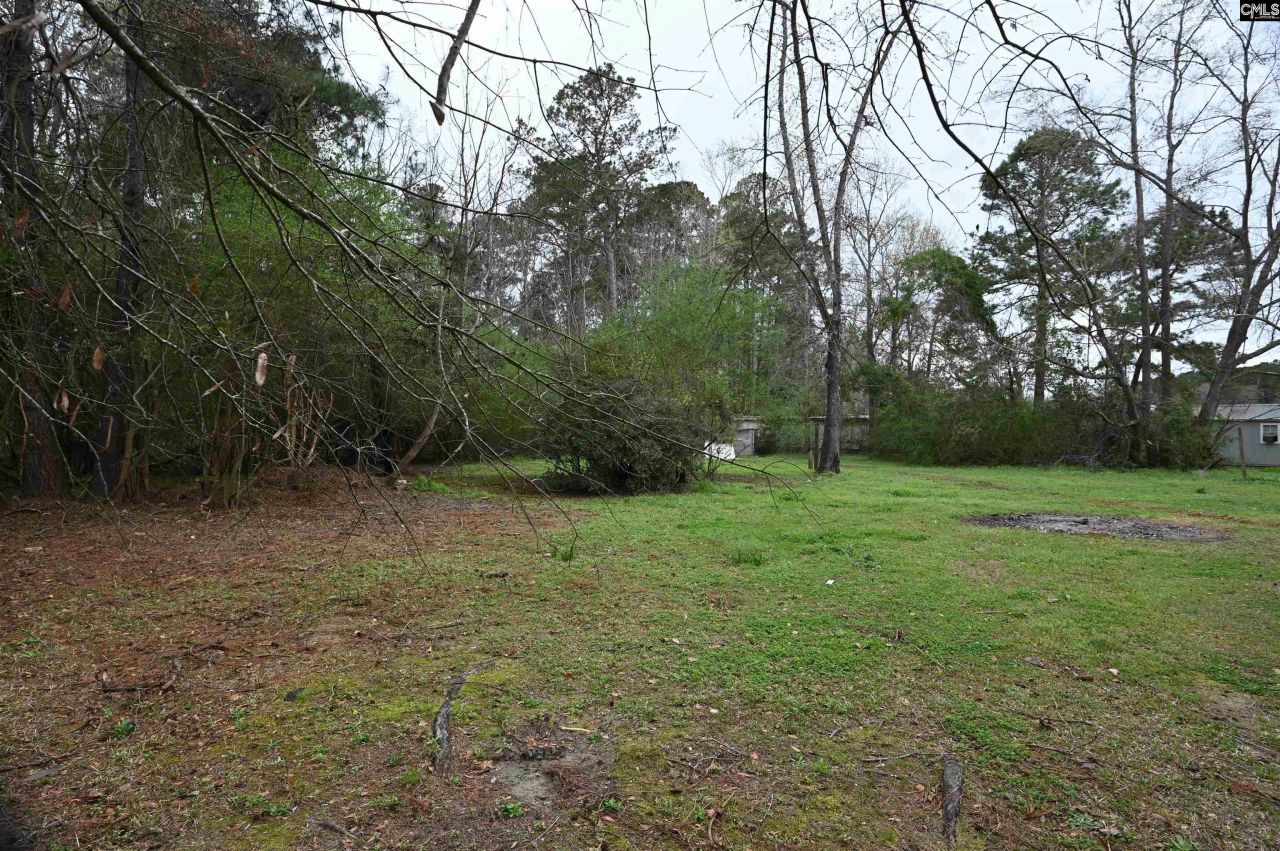 311 Bim Street  Photo 10