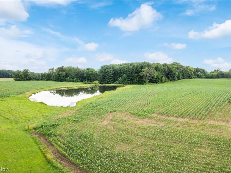 22840 Buck Road, Alliance, OH 44601 Photo 33