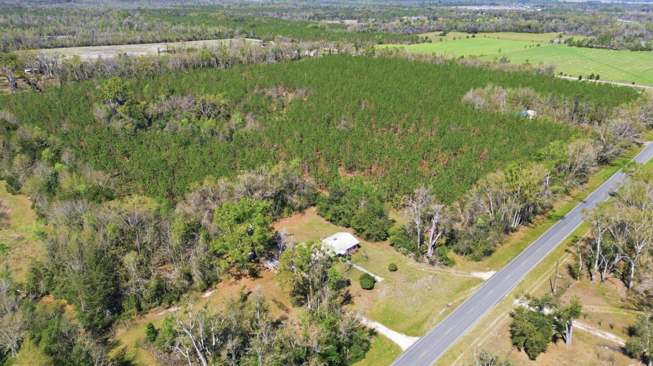 1292 SE Cr 255 , Lee, FL 32059 Photo