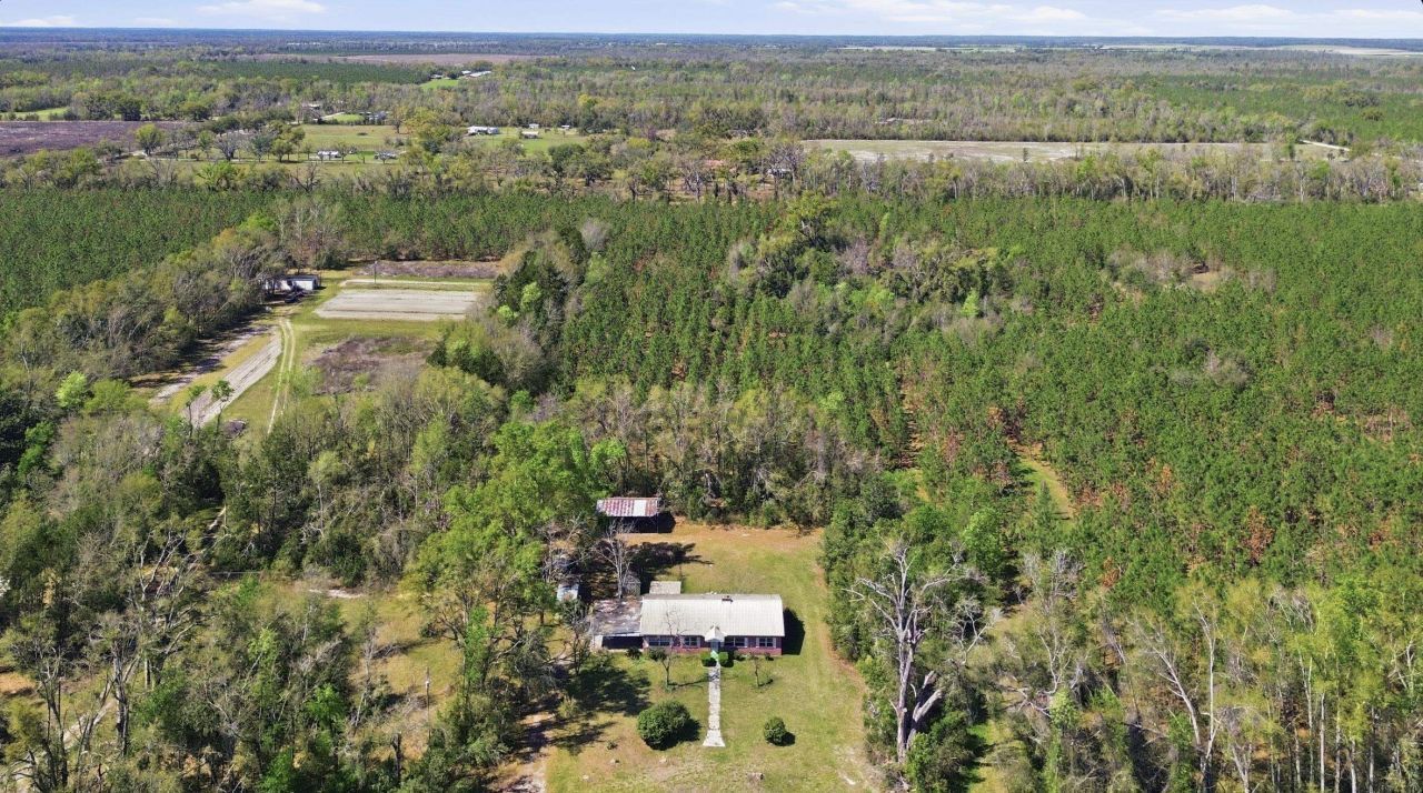 1292 SE Cr 255 , Lee, FL 32059 Photo