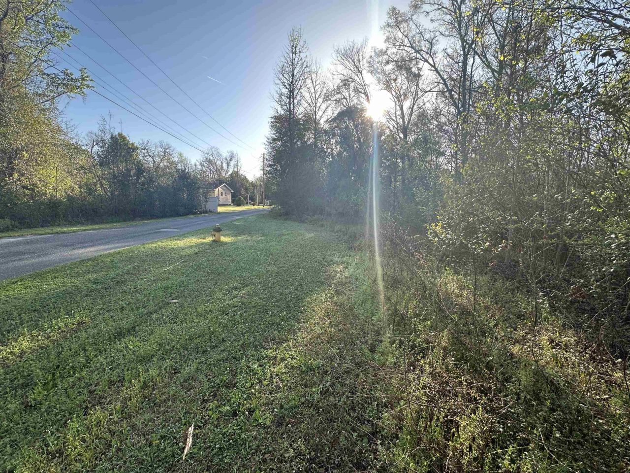 Xx Crawfish Road, Chattahoochee, FL 32324 Photo