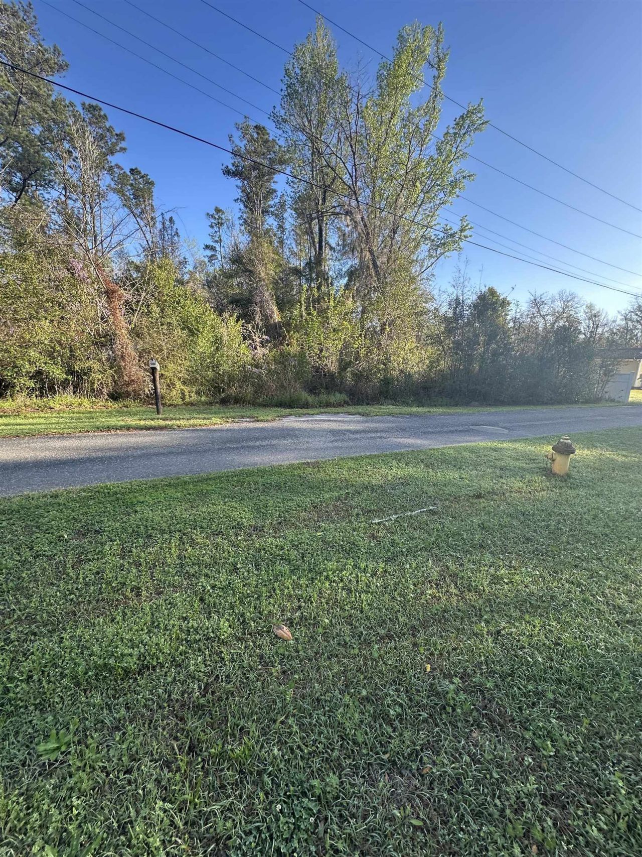 Xx Crawfish Road, Chattahoochee, FL 32324 Photo
