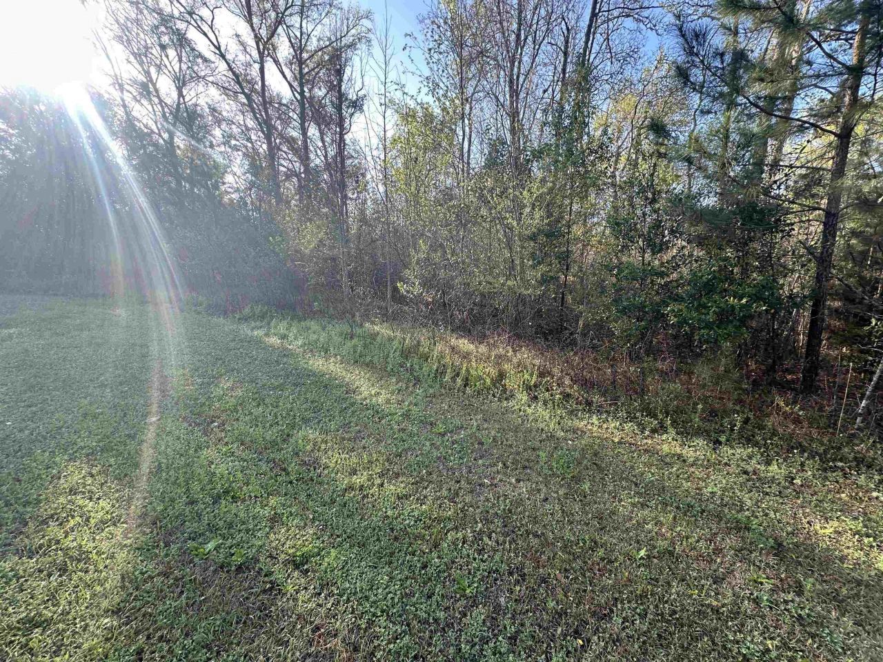 Xx Crawfish Road, Chattahoochee, FL 32324 Photo