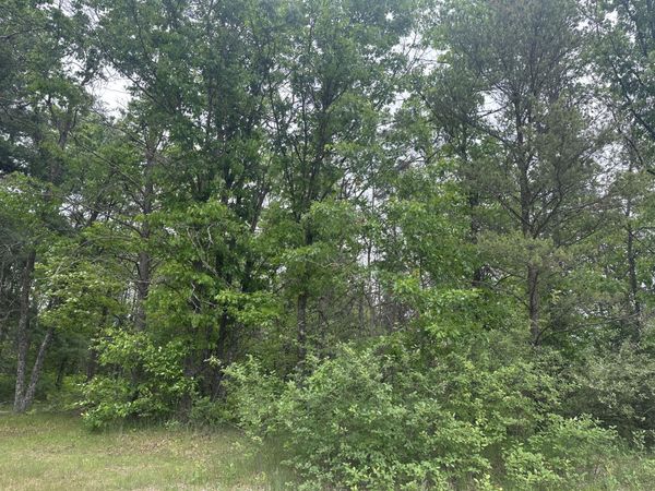 Lot 80 W Jackpine Loop, Mio, MI 48647
