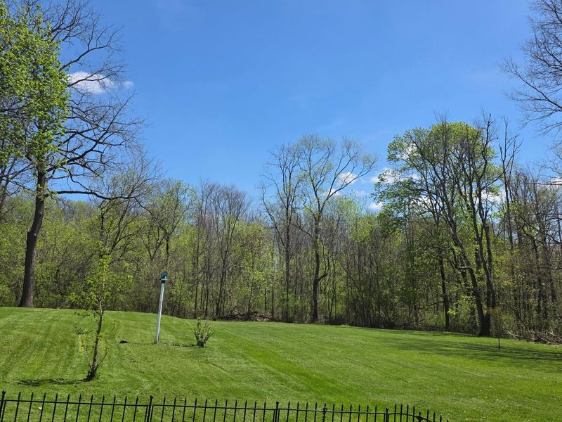 571 Luther Place, Mansfield, OH 44902 Photo 4