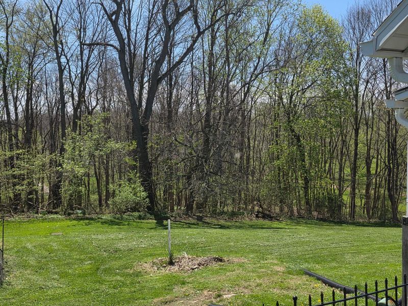 571 Luther Place, Mansfield, OH 44902 Photo 5