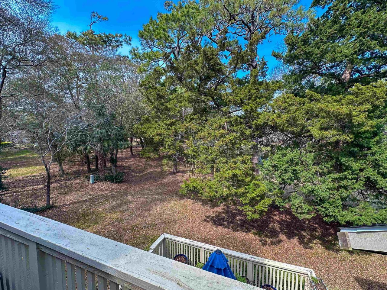 421 Appledore Circle Photo 4