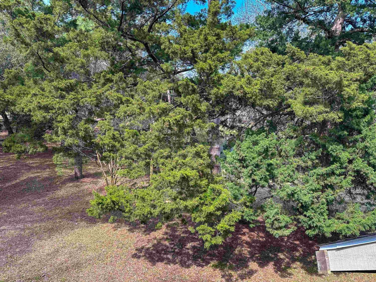 421 Appledore Circle Photo 5