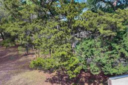 421 Appledore Circle photo 4