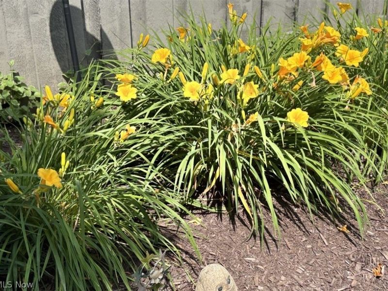 16506 Sunwood Oval, Strongsville, OH 44136 Photo 47