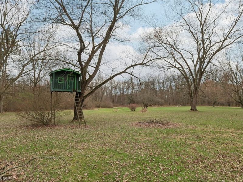 402 Yager Road, New Franklin, OH 44216 Photo 34