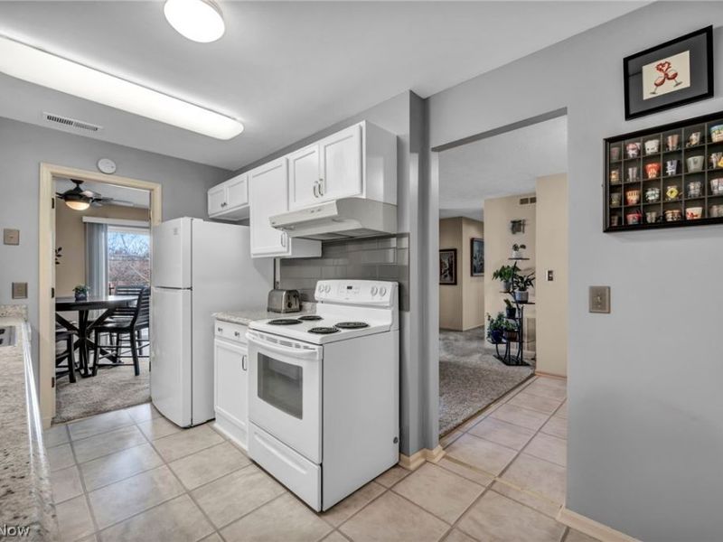 2021 King James Pky, Unit 316, Westlake, OH 44145 Photo 8